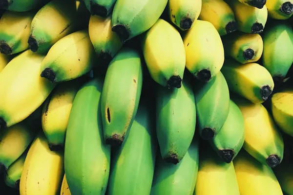 Bunch of Bananas
